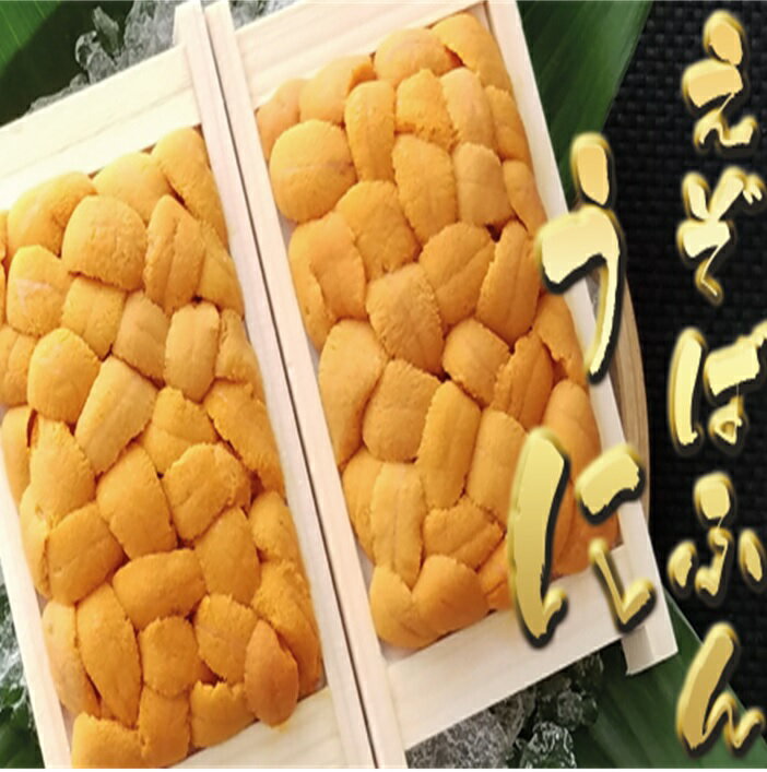 【ふるさと納税】【12月10日決済確定分まで年内配送】 エゾバフンウニ 70 ~ 80g × 2 折 うに ウニ 雲丹 バフンウニ エゾバフンうに えぞばふんうに 蝦夷バウンウニ 蝦夷ばふんうに ウニ丼 うに丼 雲丹丼 刺身 お取り寄せ グルメ 海鮮 北海道 根室市 ふるさと納税 C-53025