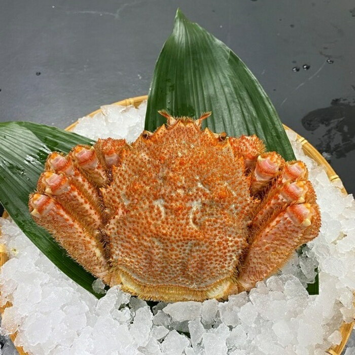 定番キャンバス 北海道紋別市 毛ガニ甲羅盛 3個 ふるさと納税 30-79 カニ 定番キャンバス 北海道紋別市 毛ガニ甲羅盛 3個 ふるさと納税 30-79 カニ
