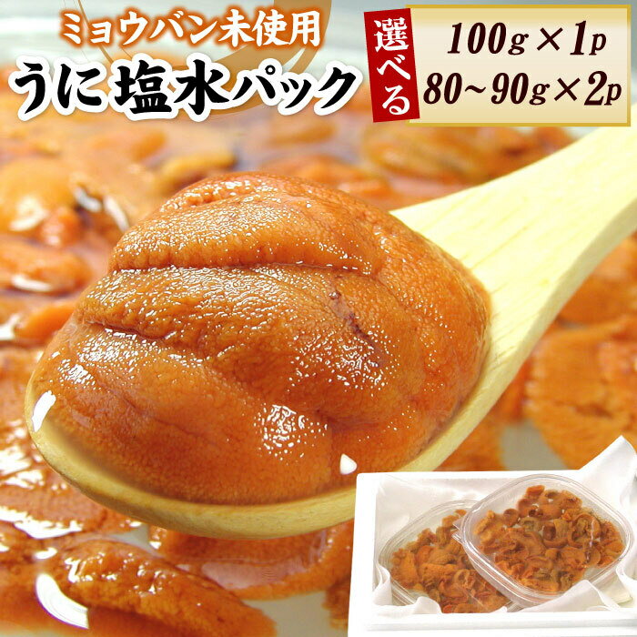 エゾバフンウニ(赤色)塩水パック 選べる 100g×1P 80〜90g×2P うに ウニ 雲丹 バフンウニ エゾバフンうに 海鮮 塩水 北海道 根室市