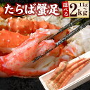 【ふるさと納税】ボイルたらばがに足 選べる 1kg 〜 2kg 蟹 かに カニ タラバ たらば たらばがに タラバガニ タラバ蟹 北海道 根室市 海鮮 タラバガ...