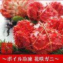 【ふるさと納税】[北海道根室産]花咲ガニ410～560g×4尾...