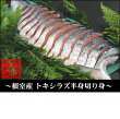 【ふるさと納税】銀毛鮭の半身切身 A-57014