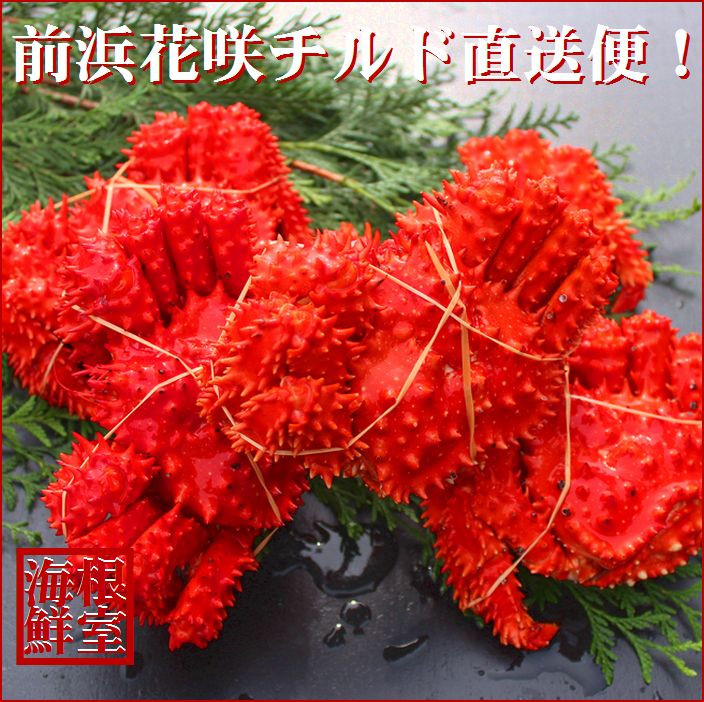 【ふるさと納税】[北海道根室産]茹でたて花咲ガニ5～6尾(計1.6kg前後)(チルド便) A-57052のサムネイル