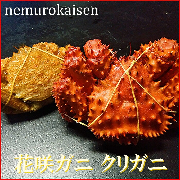 【ふるさと納税】[北海道根室産]花咲ガニとクリガニの食べ比べ