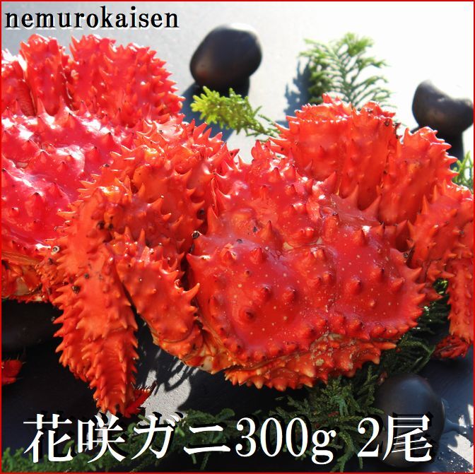 【ふるさと納税】[北海道根室産]花�