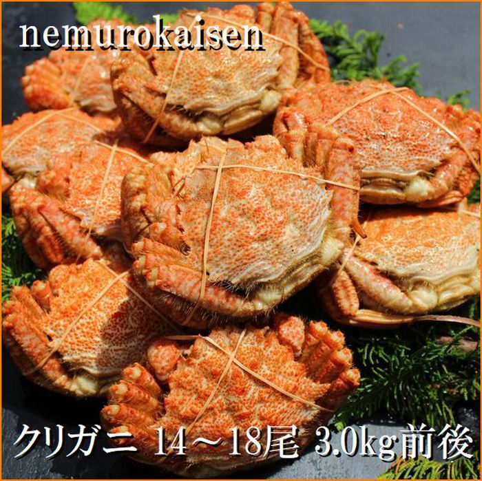 【ふるさと納税】【12月21日決済確定分まで年内配送】 [北海道根室産] クリガニ 14 ~ 18 尾 ( 計 3kg 前後 ) クリがに くりがに クリかに くり蟹 クリ蟹 かに カニ 蟹 お取り寄せ グルメ 海鮮 北海道 根室市 ふるさと納税 A-57062