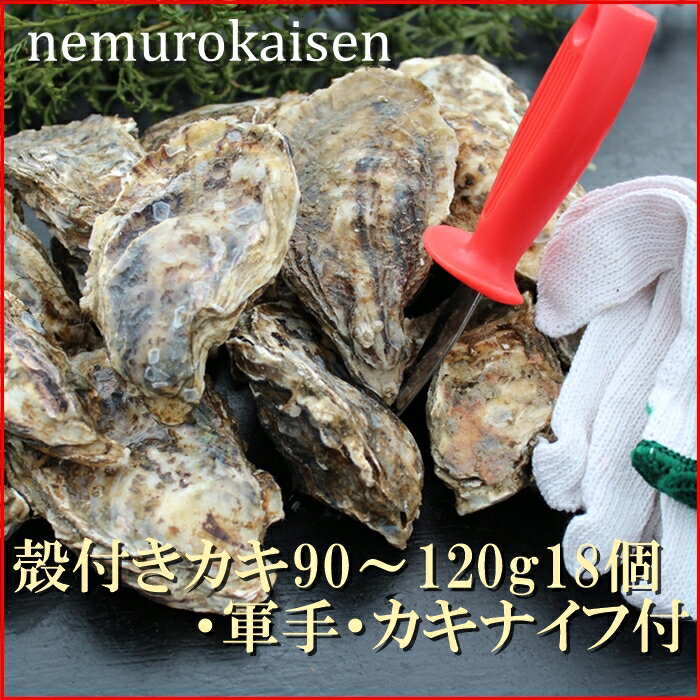 【ふるさと納税】[北海道根室産]殻付カキ90～120g×18個 B-57026