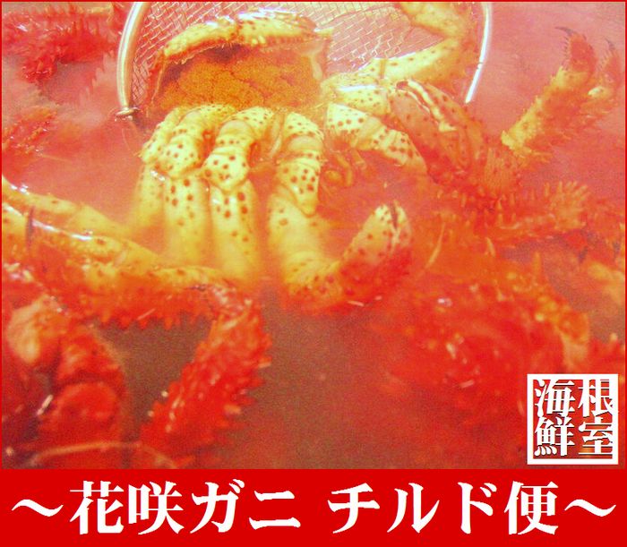 花咲ガニ 【ふるさと納税】【北海道根室産】茹でたて花咲ガニ3.4kg詰合せ(チルド便) C-57007