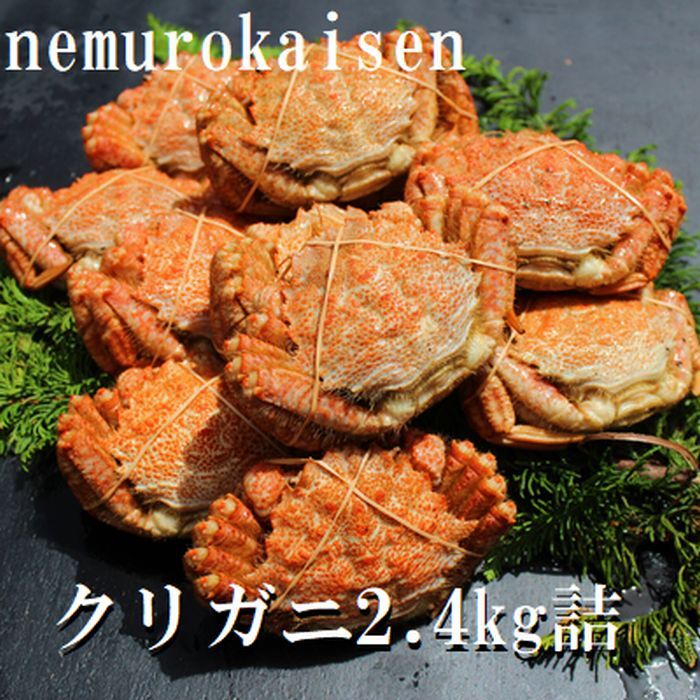 【ふるさと納税】【12月21日決済確定分まで年内配送】 [北海道根室産] クリガニ 200 ~ 250g × 10 ~ 12 尾 ( 計 2.4kg ) クリがに くりがに クリかに くり蟹 クリ蟹 かに カニ 蟹 お取り寄せ グルメ 海鮮 北海道 根室市 ふるさと納税 C-57038