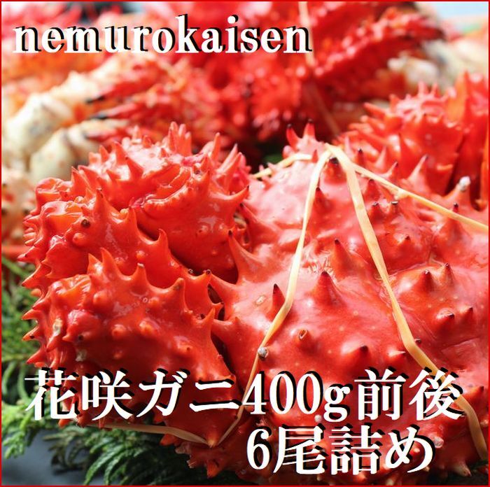 【ふるさと納税】【12月21日決済確定分まで年内配送】 [北海道根室産] 花咲ガニ 400g × 6 尾 花咲がに 花咲 花咲かに 花咲蟹 かに カニ 蟹 お取り寄せ グルメ 海鮮 北海道 根室市 ふるさと納税 C-57049