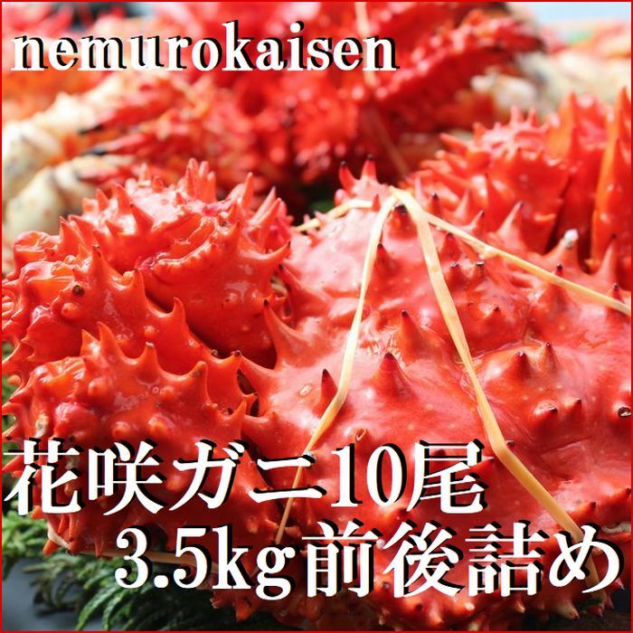 【ふるさと納税】＜年内配送可＞ [