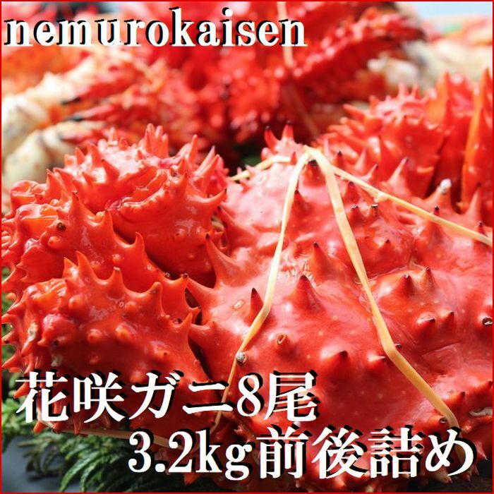 【ふるさと納税】【12月21日決済確定分まで年内配送】 [北海道根室産] 花咲ガニ 8 尾 ( 計 3.2kg 前後 ) 花咲がに 花咲 花咲かに 花咲蟹 かに カニ 蟹 お取り寄せ グルメ 海鮮 北海道 根室市 ふるさと納税 C-57053