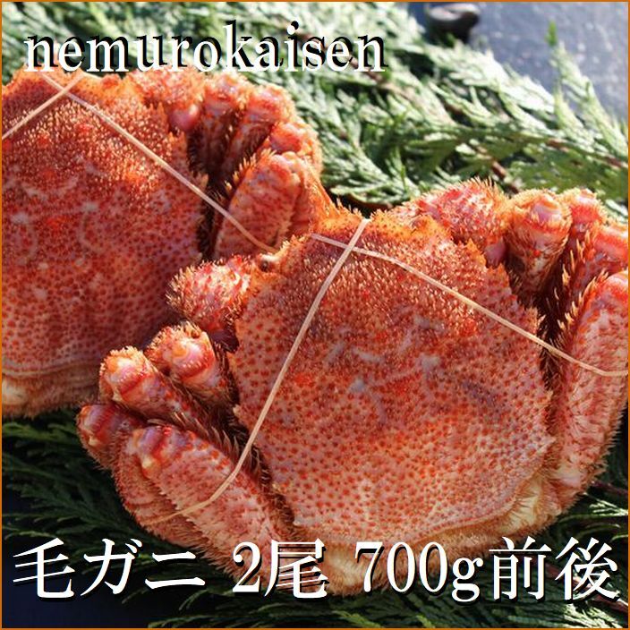 【ふるさと納税】【12月21日決済確定分まで年内配送】 [北海道根室産] 毛がに 2 尾 ( 計 700g 前後 ) 毛がに 毛蟹 けがに ケガニ かに カニ 蟹 お取り寄せ グルメ 海鮮 ミソ カニミソ カニ味噌 蟹味噌 かに味噌 北海道 根室市 ふるさと納税 C-57056