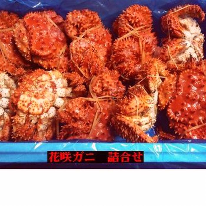 【ふるさと納税】【北海道根室産】茹でたて花咲ガニ5kg詰合せ(チルド便) D-57003