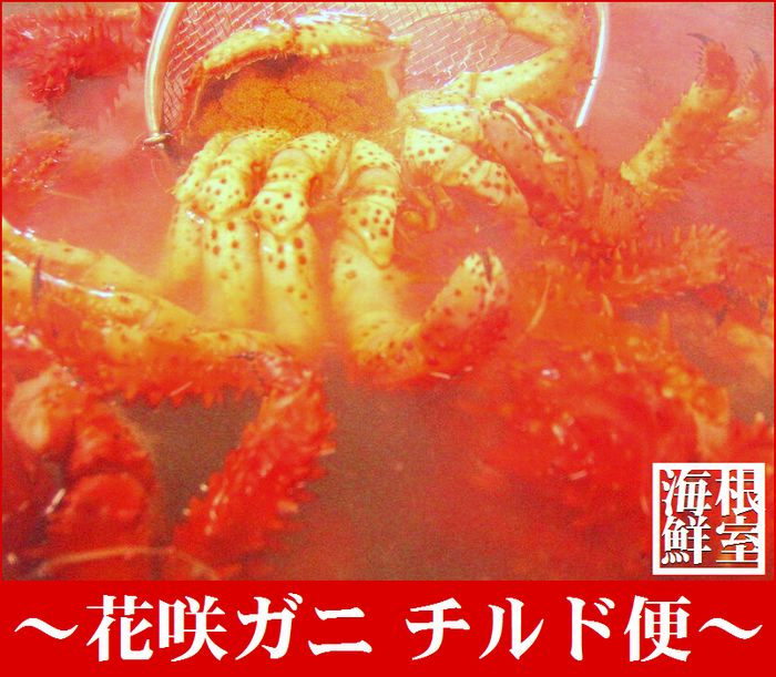 【ふるさと納税】【北海道根室産】茹でたて花咲ガニ5kg詰合せ(チルド便) D-57003