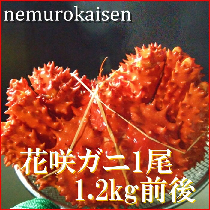 【ふるさと納税】[北海道根室産]花咲ガニ1.2前後×1尾 D-57025