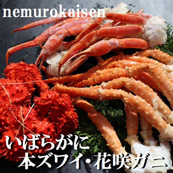 ڤդ뤵ǼǡۤФ餬ˡܥ磻ˡֺ饬ˤλΥ˥å(3.0kg) E-57002