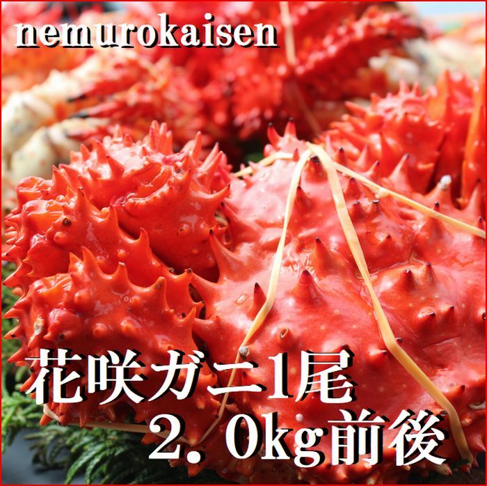 ڤդ뤵Ǽǡ[̳ƻ]ֺ饬2kg E-57003