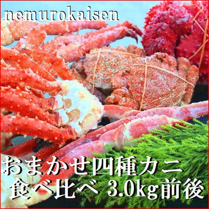 ڤդ뤵Ǽǡۤޤ4Υ˿(3kg) E-57004
