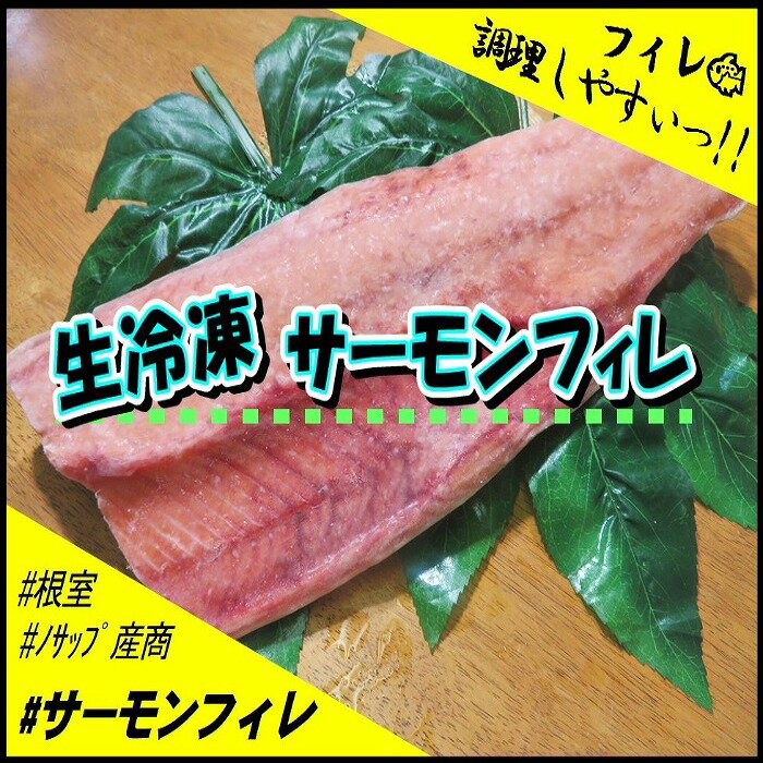 [北海道根室産]サーモンフィレ2枚(計1.5kg以上)