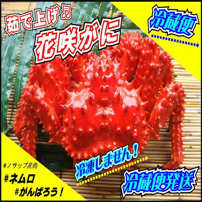 【ふるさと納税】【北海道根室産】花咲がに 2～3尾(計1kg以上)(チルド便発送) B-59017のサムネイル