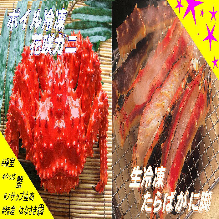[北海道根室産]生冷凍たらばがに脚カット済600g・ボイル冷凍花咲ガニ1尾セット