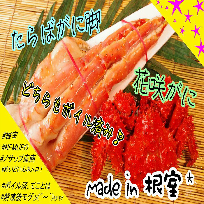 【ふるさと納税】[北海道根室産]た�