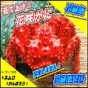 【ふるさと納税】【北海道根室産】花咲がに 2〜3尾(計1.4kg以上)(チルド便発送) C-59024