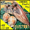 【ふるさと納税】一夜干しホッケ4枚、ずわいがに甲羅盛り2P C-59025【12月20日決済確定分まで年内配送】