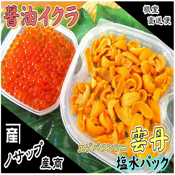 【ふるさと納税】エゾバフンウニ塩水パック80～90g×1P、醤油いくら80g×1P C-59026