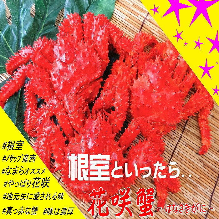【ふるさと納税】[北海道根室産]花�