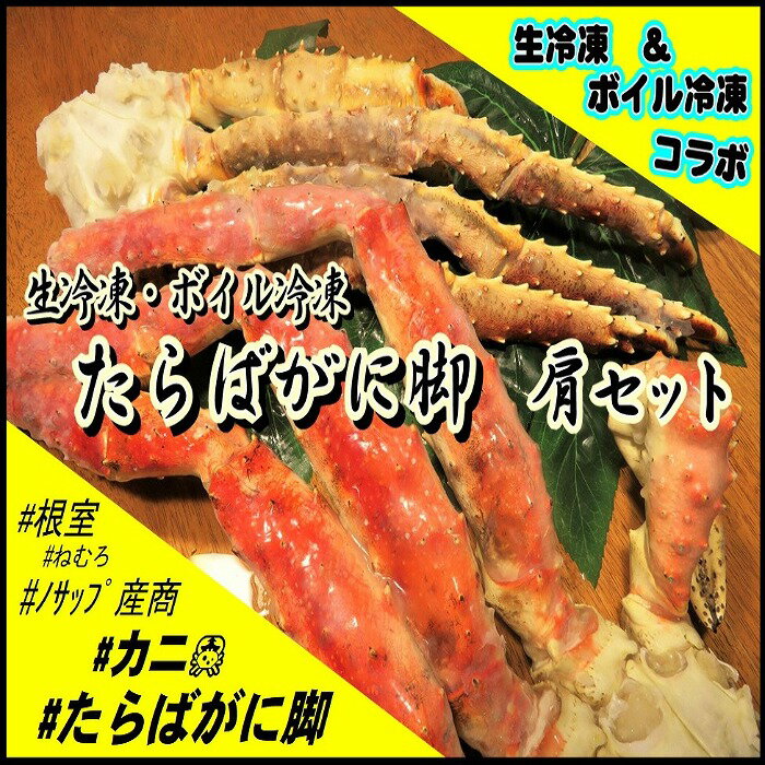 【ふるさと納税】[北海道根室産]たらばがに脚の肩セット(ボイル冷凍・生冷凍) E-59005