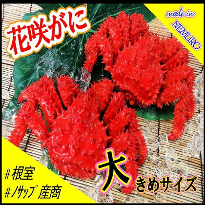 [北海道根室産]花咲がに2尾(計1.3kg) F-59005