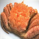 【ふるさと納税】毛がに 活状態時500〜600g×1尾 活状態時550〜750g×1尾 活状態時500~600g×3尾 かに カニ 蟹 毛ガニ 毛蟹 北海道 根...