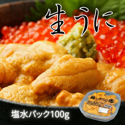 エゾバフンウニ塩水パック100g×1P B-61002