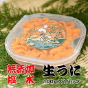 【ふるさと納税】 エゾバフンウニ塩水パック 100g※10月下旬より順次発送。 選べる 1P ~ 2P うに ウニ 雲丹 バフンウニ 塩水 塩水うに 塩水ウニ えぞばふんうに 蝦夷バウンウニ 蝦夷ばふんうにウニ丼 うに丼 雲丹丼 刺身 お取り寄せ グルメ 海鮮 北海道 根室市 ふるさと納税