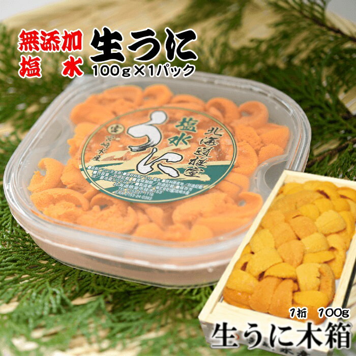 【ふるさと納税】エゾバフンウニ塩水パック100g×1P、エゾ