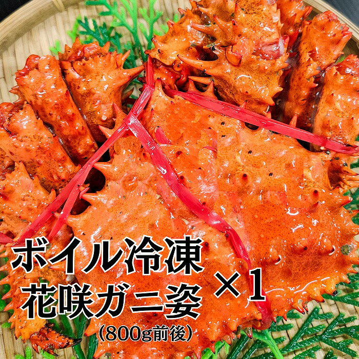 【ふるさと納税】【12月10日決済確