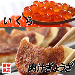 【ふるさと納税】餃子25個×1P、いくら醤油漬け100g×1P A-70042