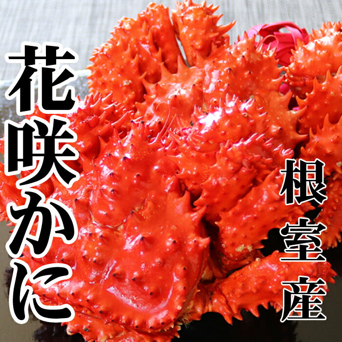 [北海道根室産]花咲かに500～650g×2尾 A-70054