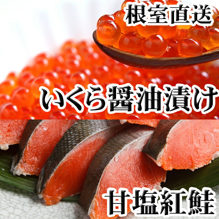 【ふるさと納税】【12月21日決済確定分まで年内配送】 いくら醤油漬け・紅鮭切身セット ( 紅鮭切身 5 切 × 2P ・いくら 100g × 1P ) ( 紅...