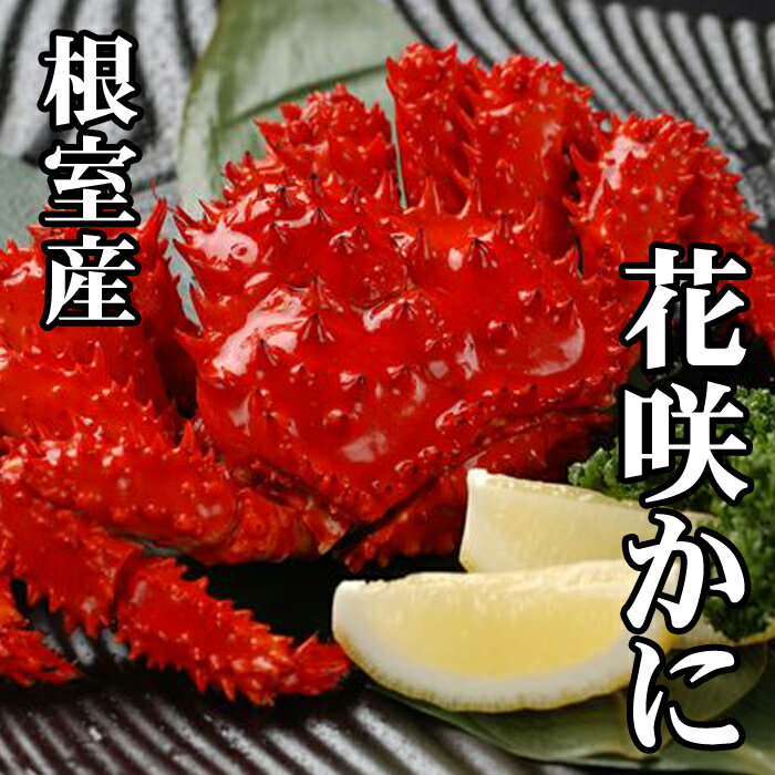 ڤդ뤵Ǽǡ[̳ƻ]ֺ餫 (300g450g3) (300g450g4) (300450g8) (400g5...