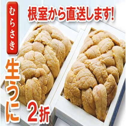 ムラサキウニ100g×2折[7月上旬以降発送] B-71021