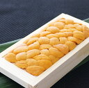 【ふるさと納税】エゾバフンウニ100g×1折 B-71025(4)