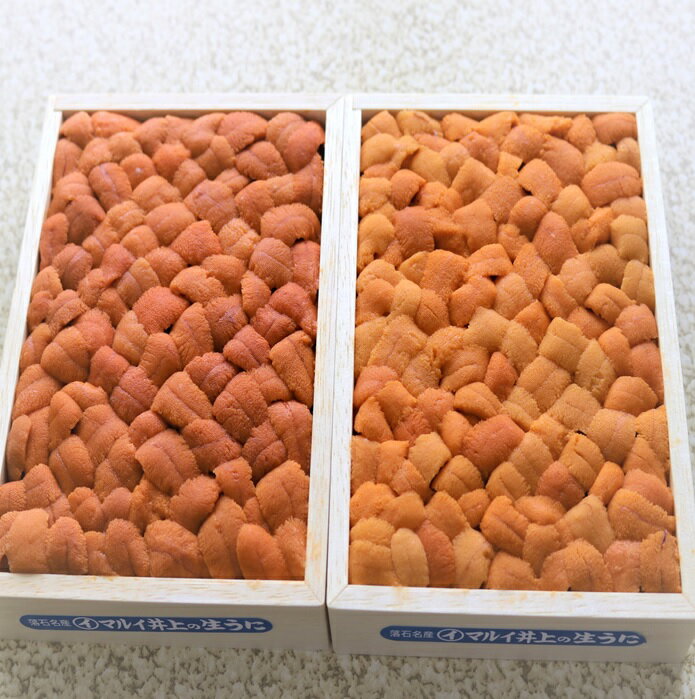 【ふるさと納税】エゾバフンウニバラ詰め(赤系)約250g×1折[2026年3月上旬以降発送] C-71028