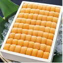 【ふるさと納税】 エゾバフンウニ弁当並べ詰め 250g × 2 折 うに ウニ 雲丹 バフンウニ エゾバフンうに えぞばふんうに 蝦夷バウンウニ 蝦夷ばふんうに...