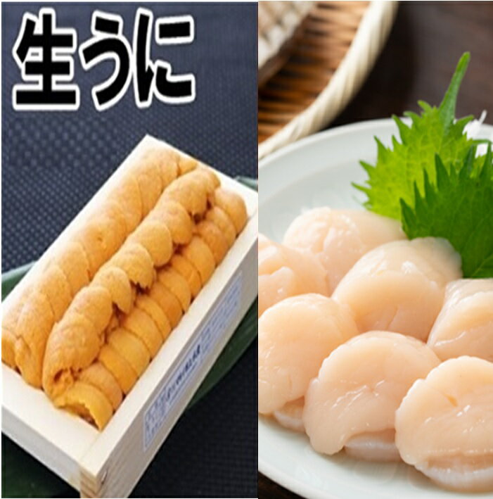 エゾバフンウニ100g×1折、お刺身ホタテ貝柱500g×1P[11月中旬以降発送]