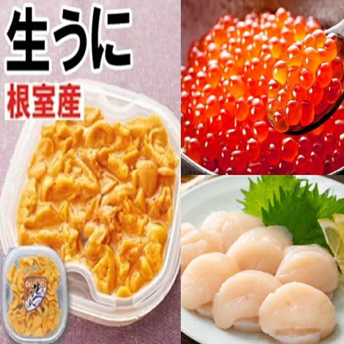 【ふるさと納税】[北海道根室産]エゾバフンウニ塩水パック150g×1P、いくら醤油漬け150g×1P、お刺身ホタテ貝柱500g×1P[2021年12月上旬以降発送] E-71002