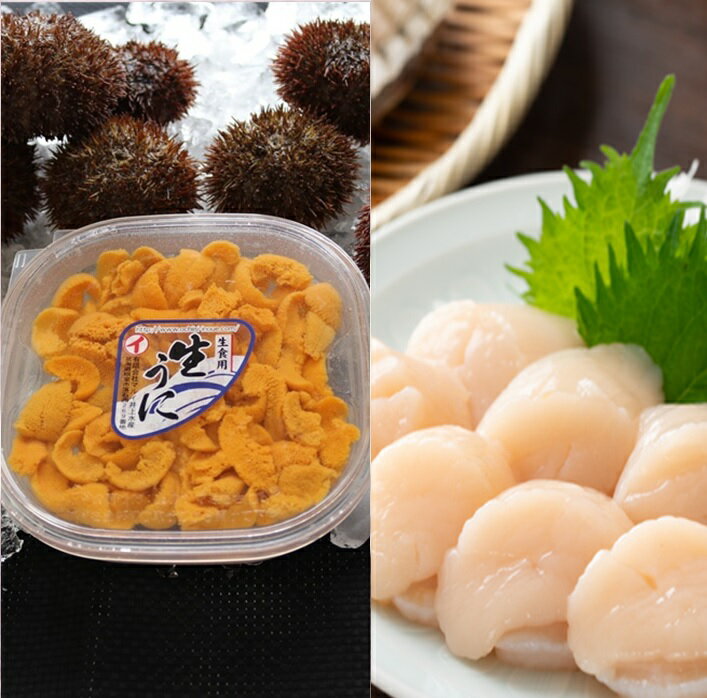 【ふるさと納税】[北海道根室産]エゾバフンウニ塩水パック100g×2P、お刺身ホタテ貝柱500g×2P[2021年12月上旬以降発送] E-71003