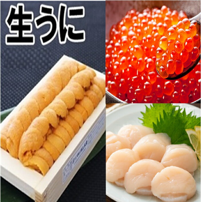 【ふるさと納税】エゾバフンウニ140g×1折、いくら醤油漬け150g×1P、お刺身ホタテ貝柱500g×1P[2022年11月中旬以降発送] E-71015